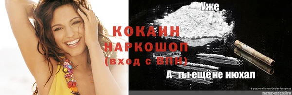 винт Абаза