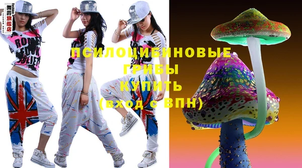 винт Абаза