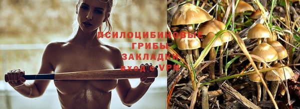 винт Абаза