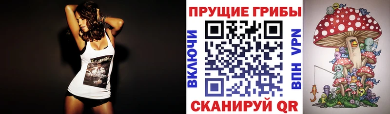 Галлюциногенные грибы MAGIC MUSHROOMS  Шлиссельбург 