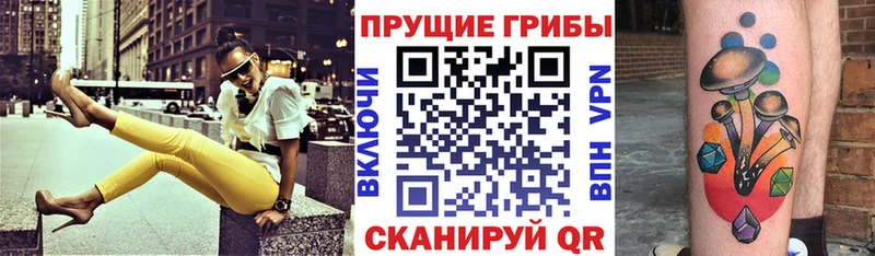 Псилоцибиновые грибы GOLDEN TEACHER Шлиссельбург